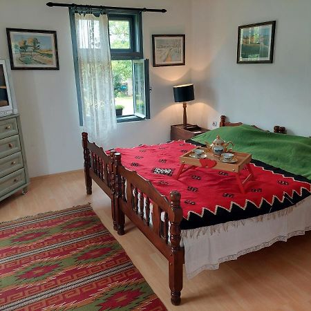 Apartmani Petkovic 226 Velika Drenova Buitenkant foto