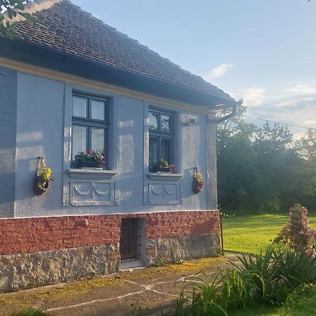 Apartmani Petkovic 226 Velika Drenova Buitenkant foto