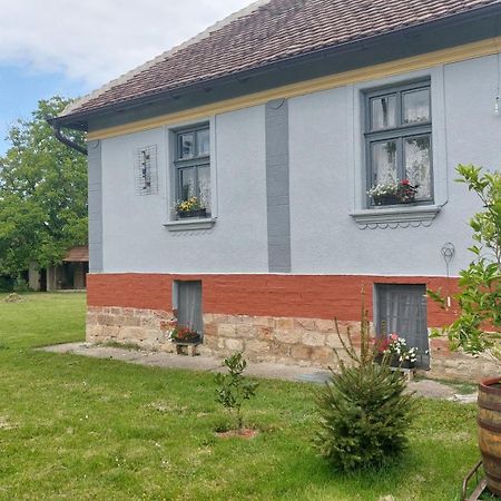 Apartmani Petkovic 226 Velika Drenova Buitenkant foto