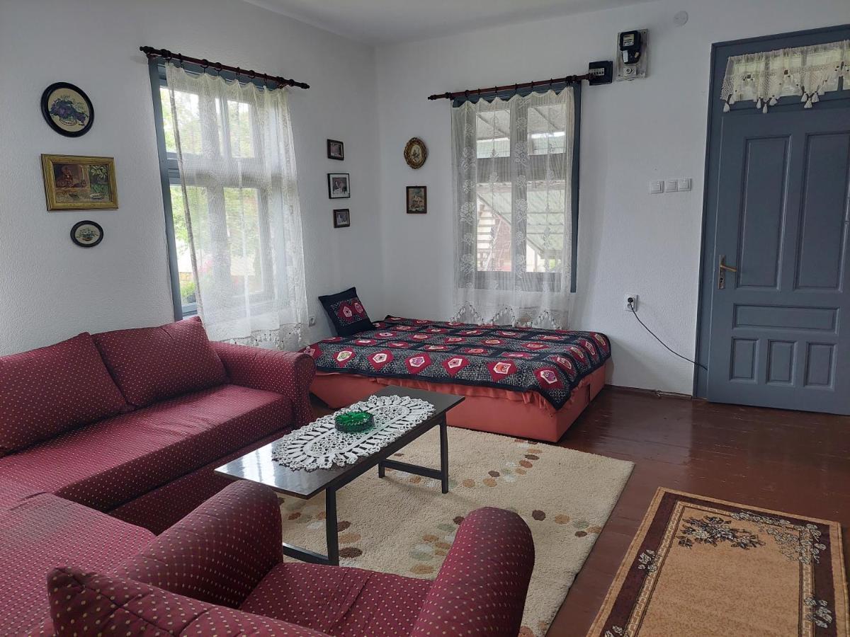 Apartmani Petkovic 226 Velika Drenova Buitenkant foto