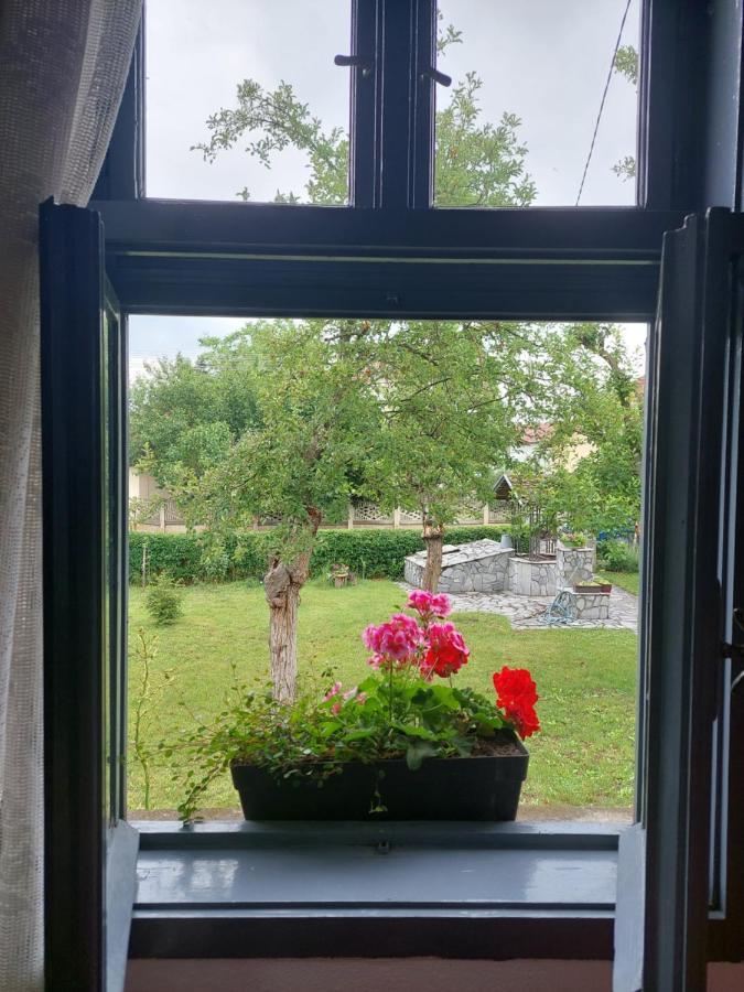 Apartmani Petkovic 226 Velika Drenova Buitenkant foto