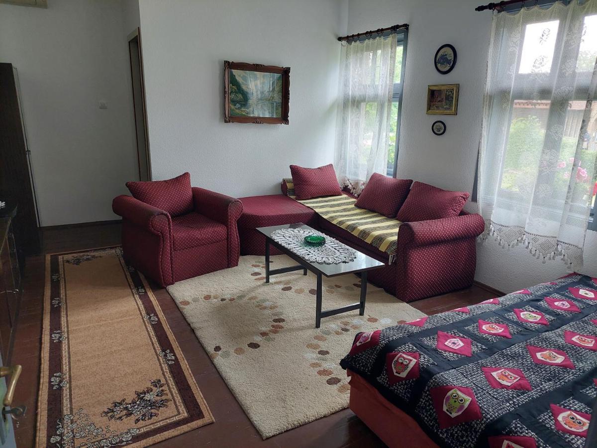 Apartmani Petkovic 226 Velika Drenova Buitenkant foto