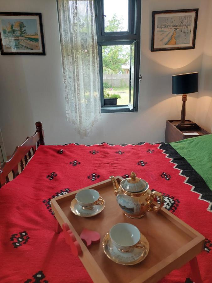 Apartmani Petkovic 226 Velika Drenova Buitenkant foto