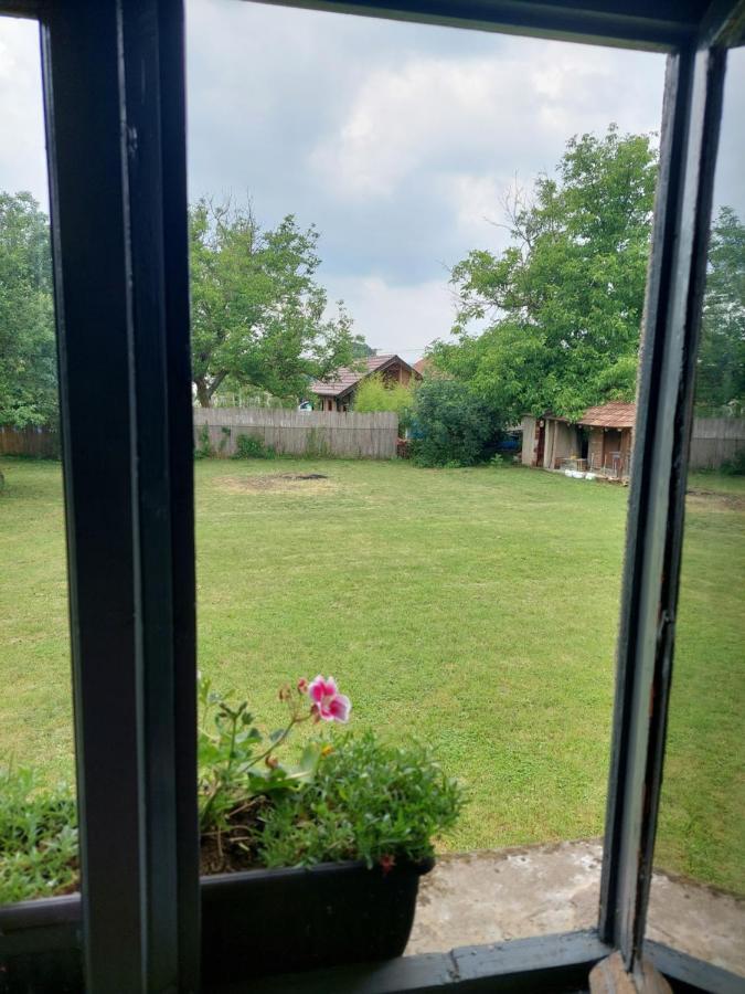 Apartmani Petkovic 226 Velika Drenova Buitenkant foto
