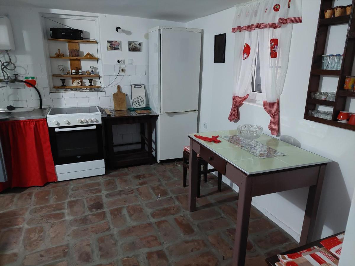 Apartmani Petkovic 226 Velika Drenova Buitenkant foto