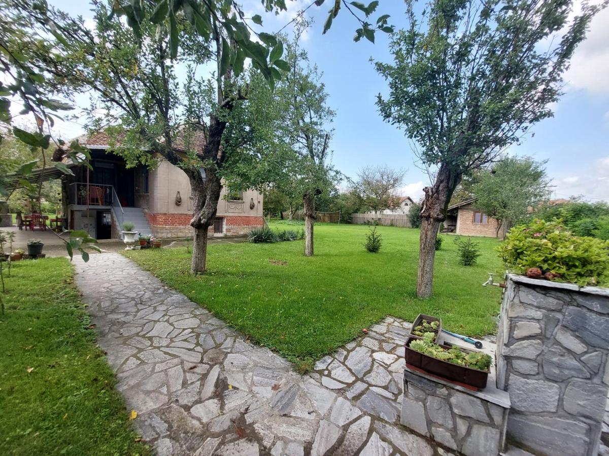 Apartmani Petkovic 226 Velika Drenova Buitenkant foto