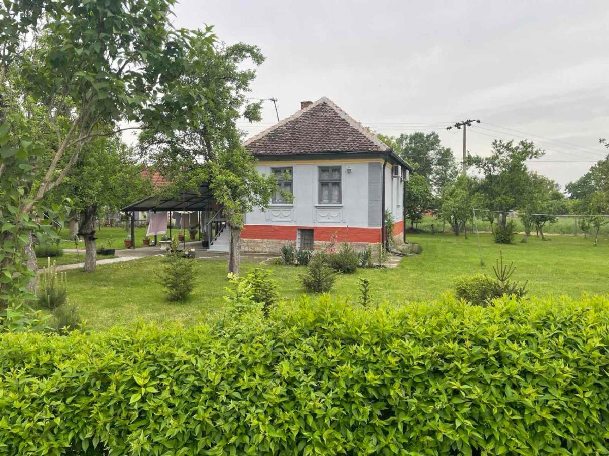 Apartmani Petkovic 226 Velika Drenova Buitenkant foto