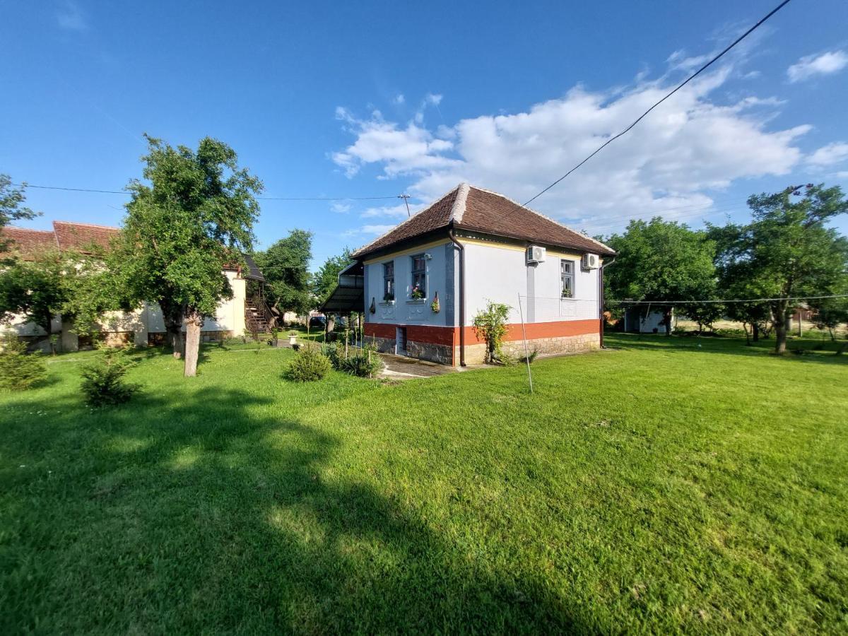 Apartmani Petkovic 226 Velika Drenova Buitenkant foto