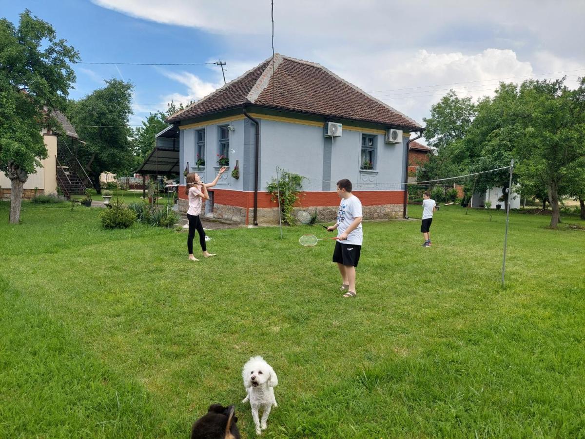 Apartmani Petkovic 226 Velika Drenova Buitenkant foto