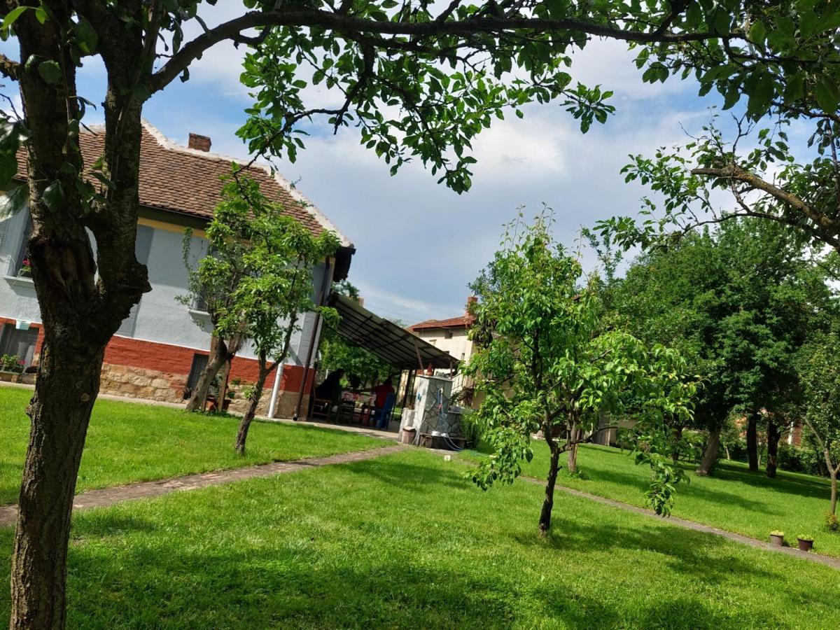 Apartmani Petkovic 226 Velika Drenova Buitenkant foto